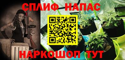 дживик Заводоуковск