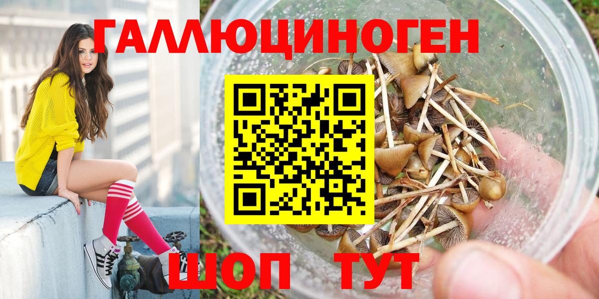 хочу наркоту  Псилоцибиновые грибы Magic Shrooms  Миасс  Вход с VPN  Псилоцибиновые грибы Psilocybe 